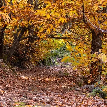 Apartament La Canada Del Valle Del Jerte