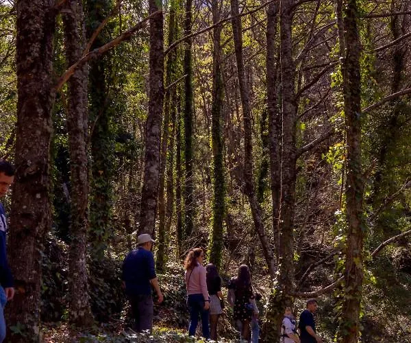 Апартаменты La Canada Del Valle Del Jerte